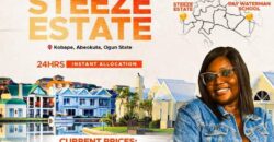 STEEZE ESTATE