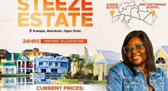 STEEZE ESTATE